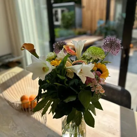 Unique Ground-floor With Beautiful Garden In דירה